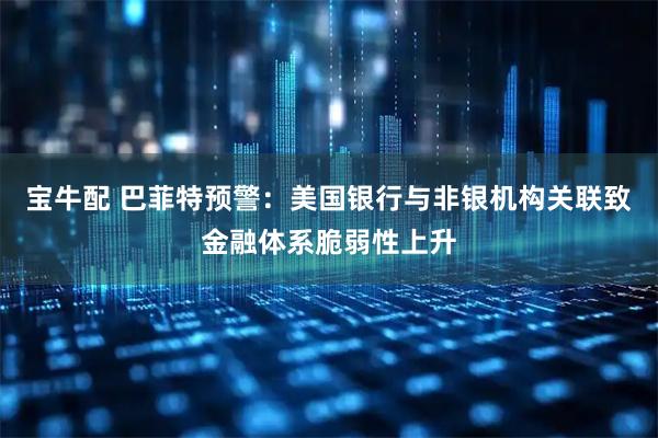 宝牛配 巴菲特预警：美国银行与非银机构关联致金融体系脆弱性上升