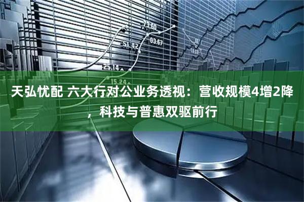 天弘忧配 六大行对公业务透视：营收规模4增2降，科技与普惠双驱前行